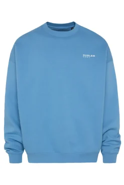 AD-AM Sweatshirt Unisex electric sky