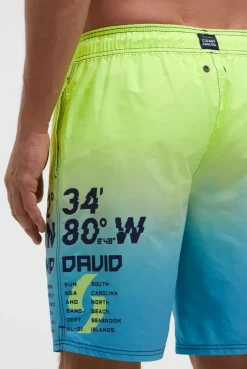 Beachshorts mit Farbverlauf und Print neon lime / island green