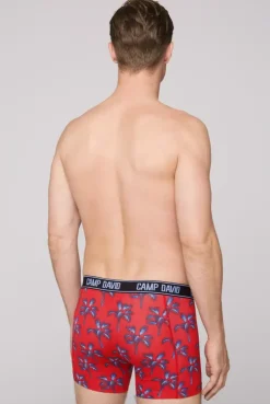 Boxershorts mit All Over Print, 2er-Pack surf grey / red