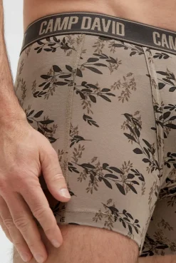 Boxershorts mit All Over Print, 2er-Pack birch / taupe