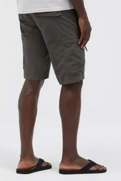 Cargo Shorts aus Ripstop-Nylon pure anthra