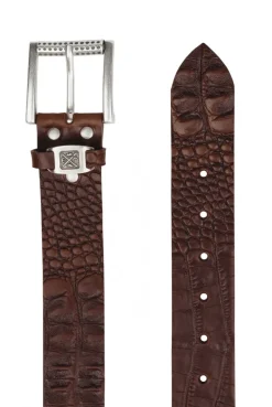 Gürtel aus geprägtem Leder mit Metall-Logo dark brown
