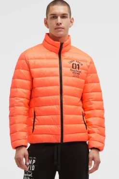 Leichte Steppjacke mit Rücken-Print speed orange neon