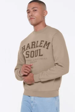 MA-TT Sweatshirt earth