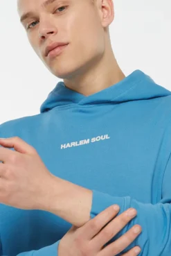 MON-TEL Hoodie Printed electro blue