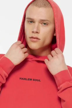 MON-TEL Hoodie printed glory