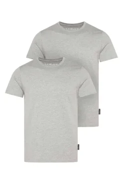 T-Shirt Rundhals, 2er-Pack greymelange / greymelange