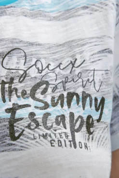 V-Shirt mit All-Over-Streifen- und Logo-Prints ocean flash